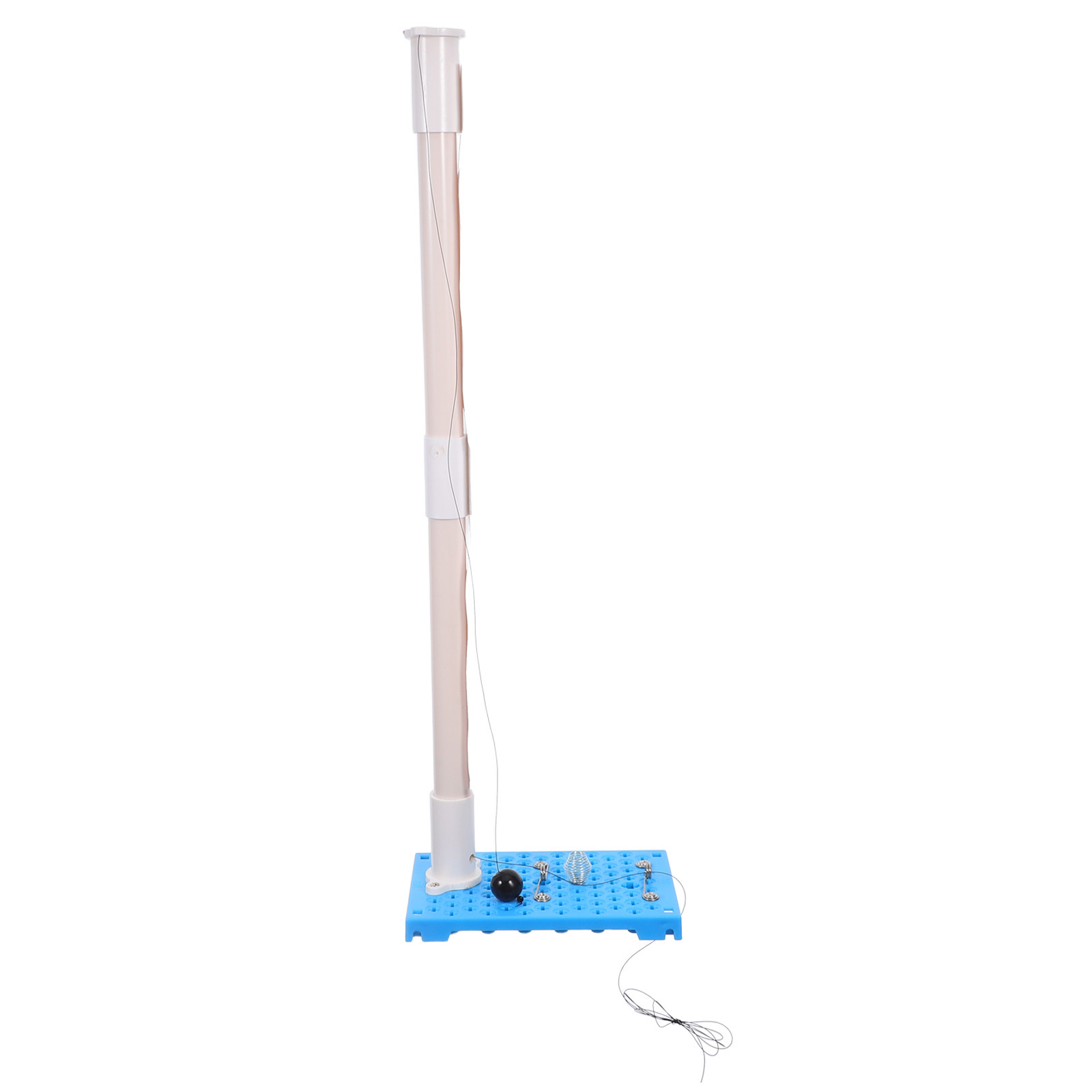 Party Games Physical - 1 Set Esperimento Scientifico per Testare
