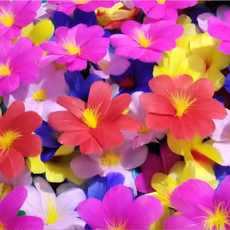 Bouquet con maniche - Trucchi  - Party Games Easy recensione e prezzo