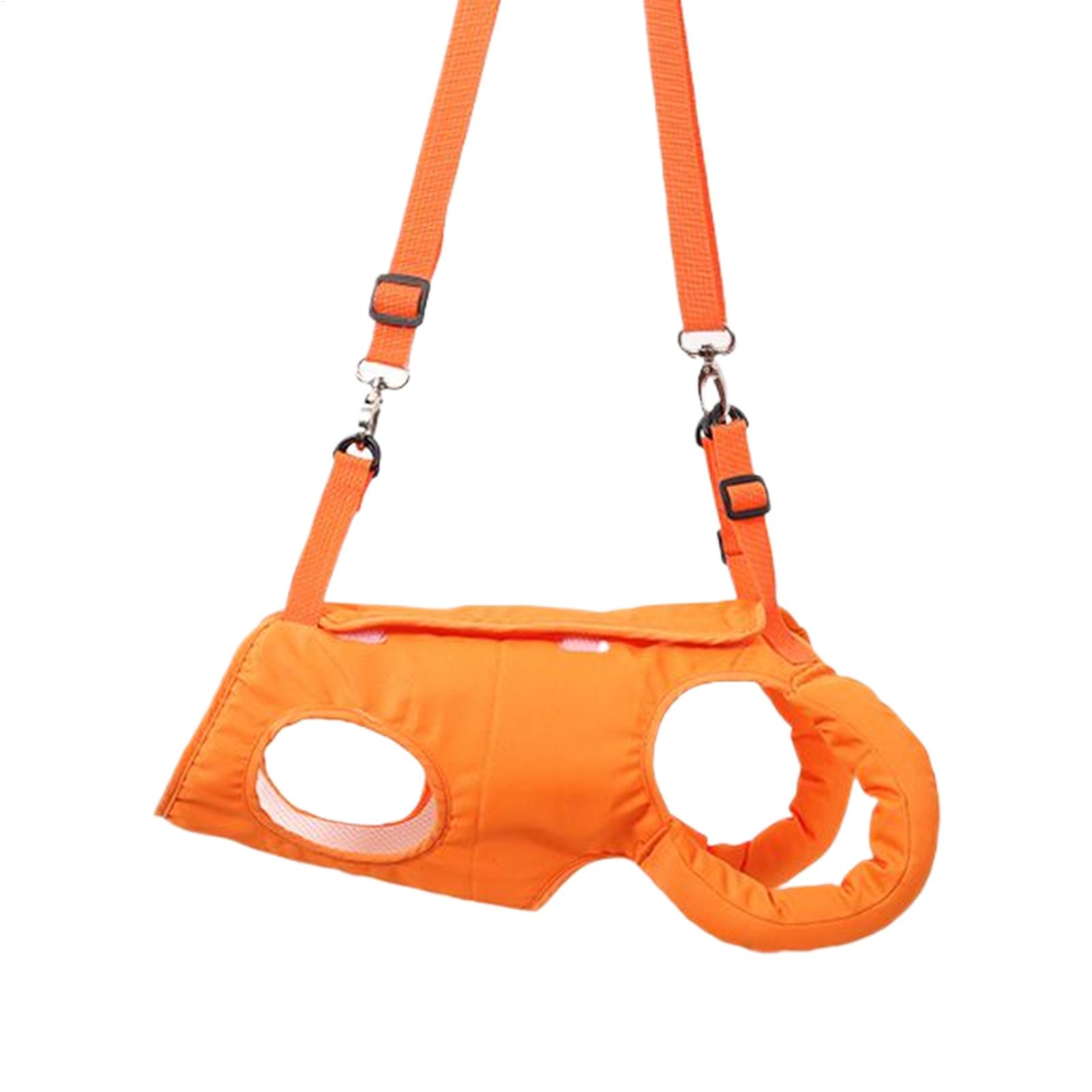 Porta imbracatura per cani di  - Ladder Toss Set recensione e prezzo